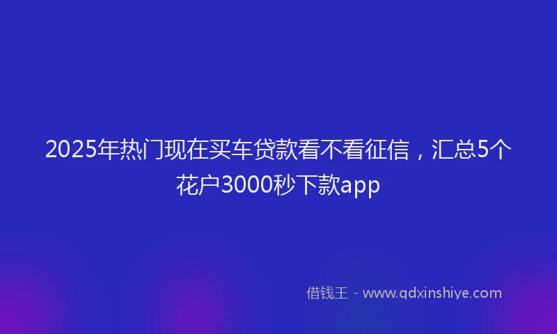 2025年热门现在买车贷款看不看征信，汇总5个花户3000秒下款app