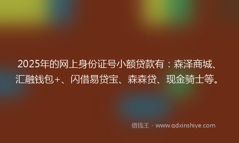 2025年的网上身份证号小额贷款有：森泽商城、汇融钱包+、闪借易贷宝、森森贷、现金骑士等。