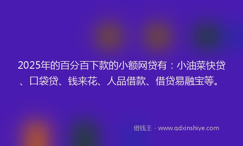 2025年的百分百下款的小额网贷有:小油菜快贷、口袋贷、钱来花、人品借款、借贷易融宝等。