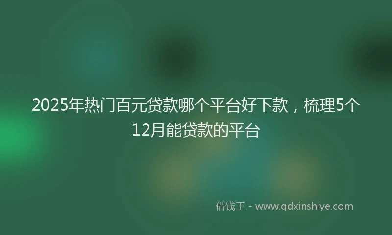 2025年热门百元贷款哪个平台好下款，梳理5个12月能贷款的平台