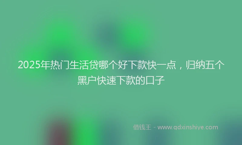 2025年热门生活贷哪个好下款快一点，归纳五个黑户快速下款的口子