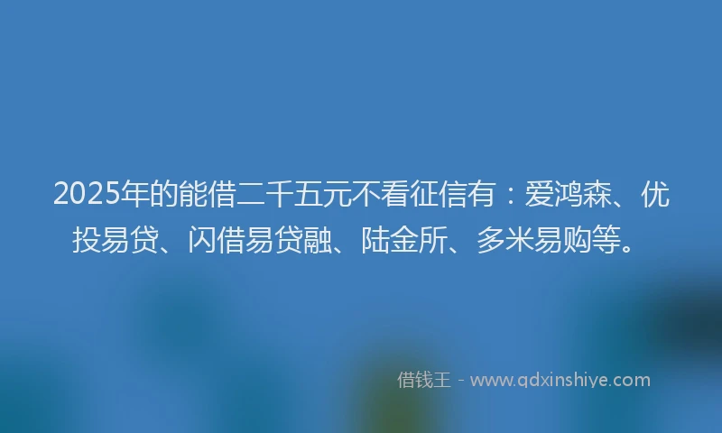 2025年的能借二千五元不看征信有：爱鸿森、优投易贷、闪借易贷融、陆金所、多米易购等。