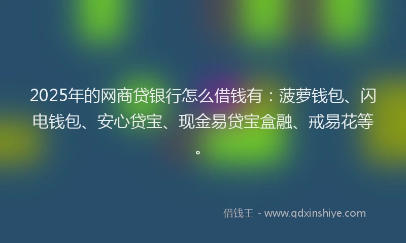 2025年的网商贷银行怎么借钱有：菠萝钱包、闪电钱包、安心贷宝、现金易贷宝盒融、戒易花等。