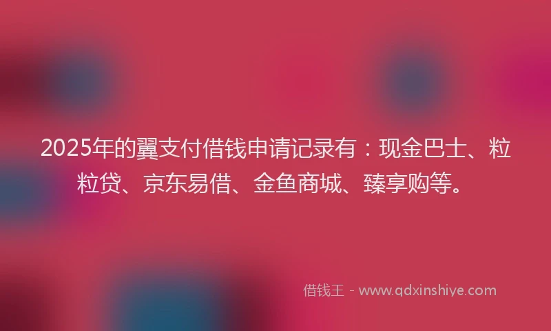 2025年的翼支付借钱申请记录有:现金巴士、粒粒贷、京东易借、金鱼商城、臻享购等。