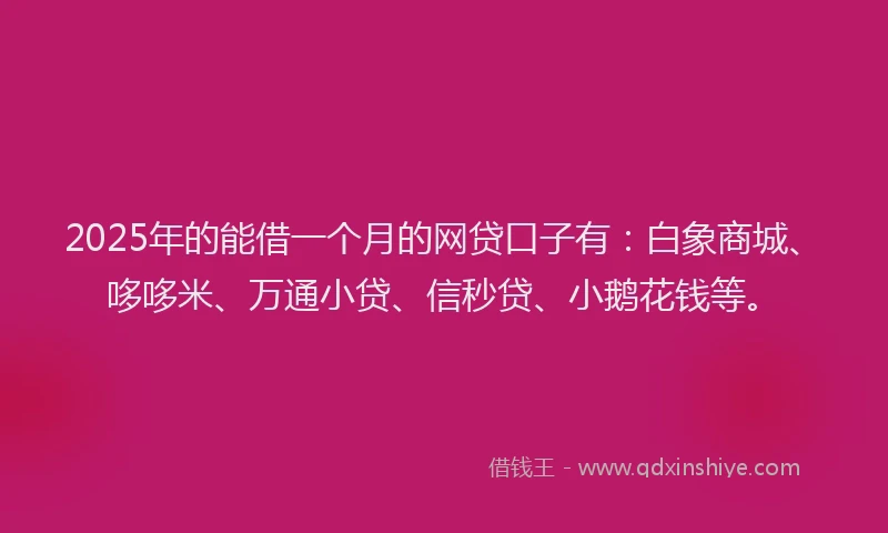 2025年的能借一个月的网贷口子有：白象商城、哆哆米、万通小贷、信秒贷、小鹅花钱等。
