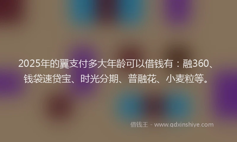 2025年的翼支付多大年龄可以借钱有:融360、钱袋速贷宝、时光分期、普融花、小麦粒等。