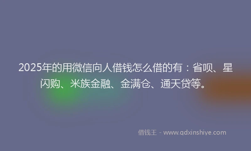 2025年的用微信向人借钱怎么借的有：省呗、星闪购、米族金融、金满仓、通天贷等。