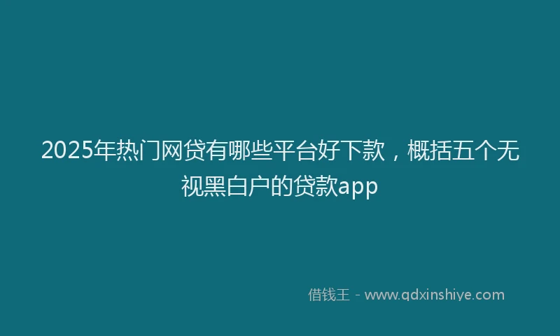 2025年热门网贷有哪些平台好下款，概括五个无视黑白户的贷款app