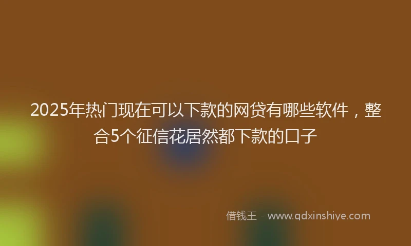 2025年热门现在可以下款的网贷有哪些软件，整合5个征信花居然都下款的口子