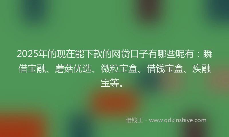 2025年的现在能下款的网贷口子有哪些呢有：瞬借宝融、蘑菇优选、微粒宝盒、借钱宝盒、疾融宝等。
