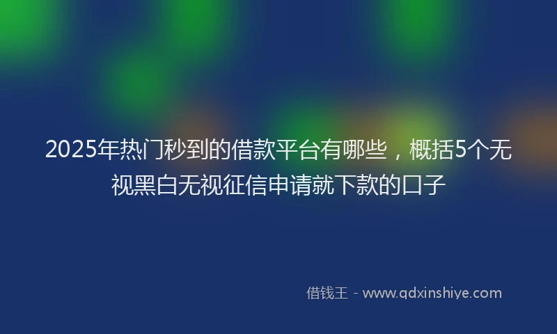 2025年热门秒到的借款平台有哪些，概括5个无视黑白无视征信申请就下款的口子