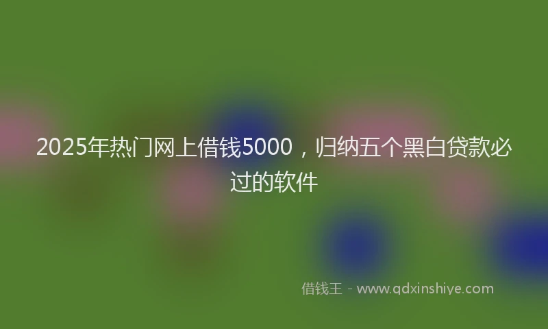 2025年热门网上借钱5000，归纳五个黑白贷款必过的软件