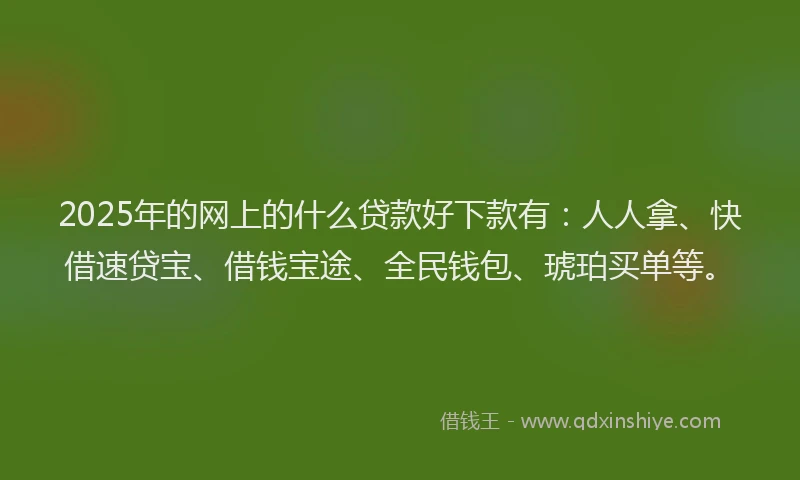 2025年的网上的什么贷款好下款有:人人拿、快借速贷宝、借钱宝途、全民钱包、琥珀买单等。