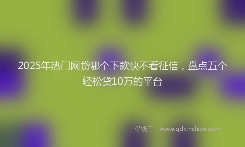 2025年热门网贷哪个下款快不看征信，盘点五个轻松贷10万的平台