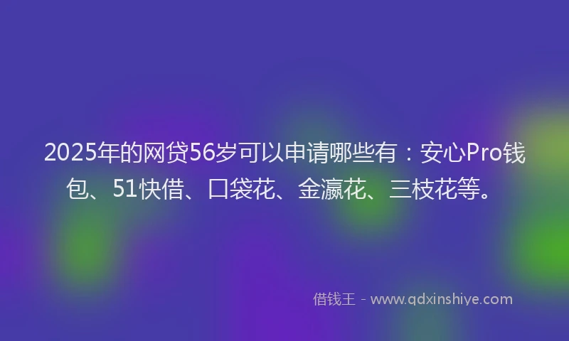 2025年的网贷56岁可以申请哪些有：安心Pro钱包、51快借、口袋花、金瀛花、三枝花等。