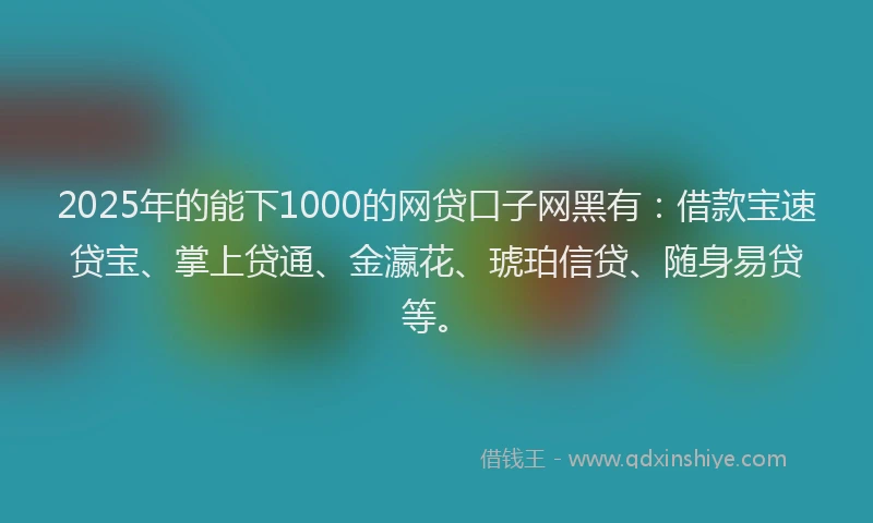 2025年的能下1000的网贷口子网黑有:借款宝速贷宝、掌上贷通、金瀛花、琥珀信贷、随身易贷等。