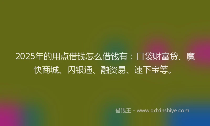 2025年的用点借钱怎么借钱有：口袋财富贷、魔快商城、闪银通、融资易、速下宝等。