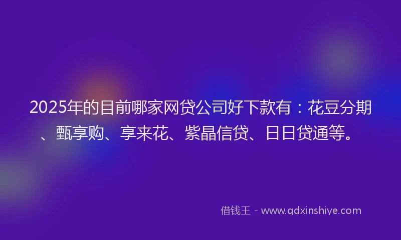 2025年的目前哪家网贷公司好下款有：花豆分期、甄享购、享来花、紫晶信贷、日日贷通等。