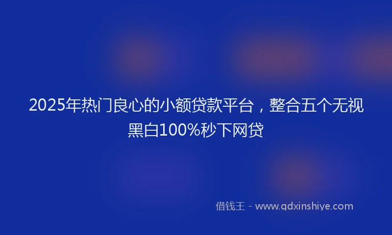 2025年热门良心的小额贷款平台，整合五个无视黑白100%秒下网贷