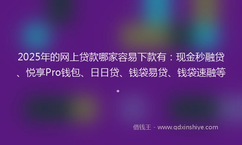 2025年的网上贷款哪家容易下款有:现金秒融贷、悦享Pro钱包、日日贷、钱袋易贷、钱袋速融等。