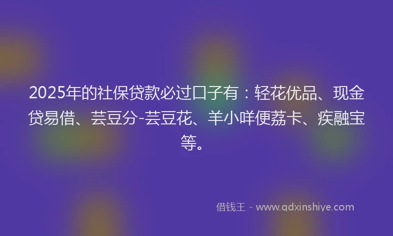 2025年的社保贷款必过口子有：轻花优品、现金贷易借、芸豆分-芸豆花、羊小咩便荔卡、疾融宝等。