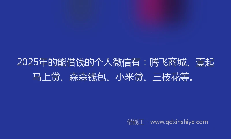 2025年的能借钱的个人微信有：腾飞商城、壹起马上贷、森森钱包、小米贷、三枝花等。