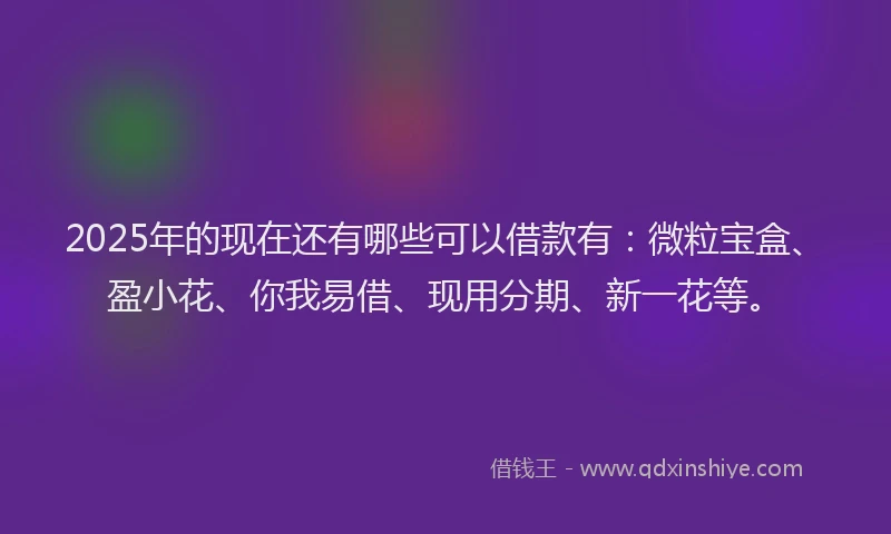 2025年的现在还有哪些可以借款有：微粒宝盒、盈小花、你我易借、现用分期、新一花等。
