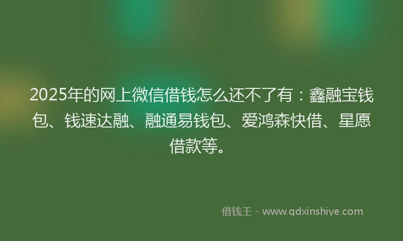 2025年的网上微信借钱怎么还不了有：鑫融宝钱包、钱速达融、融通易钱包、爱鸿森快借、星愿借款等。