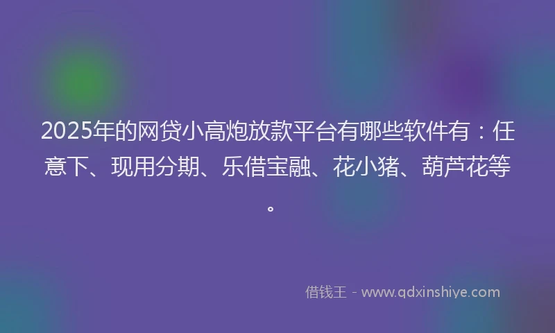 2025年的网贷小高炮放款平台有哪些软件有：任意下、现用分期、乐借宝融、花小猪、葫芦花等。