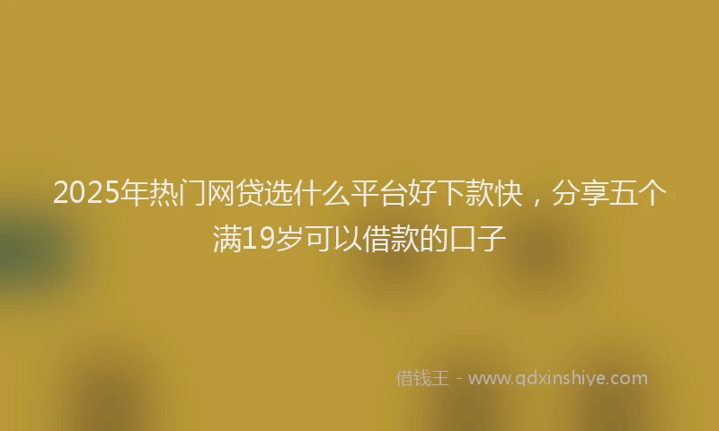 2025年热门网贷选什么平台好下款快,分享五个满19岁可以借款的口子