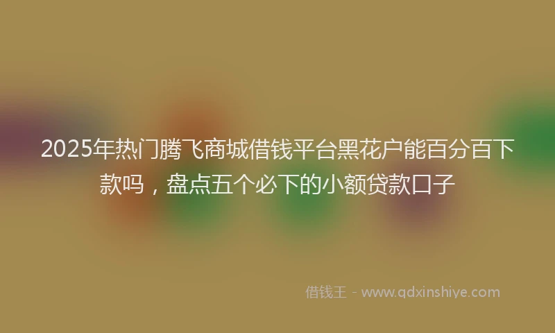2025年热门腾飞商城借钱平台黑花户能百分百下款吗，盘点五个必下的小额贷款口子