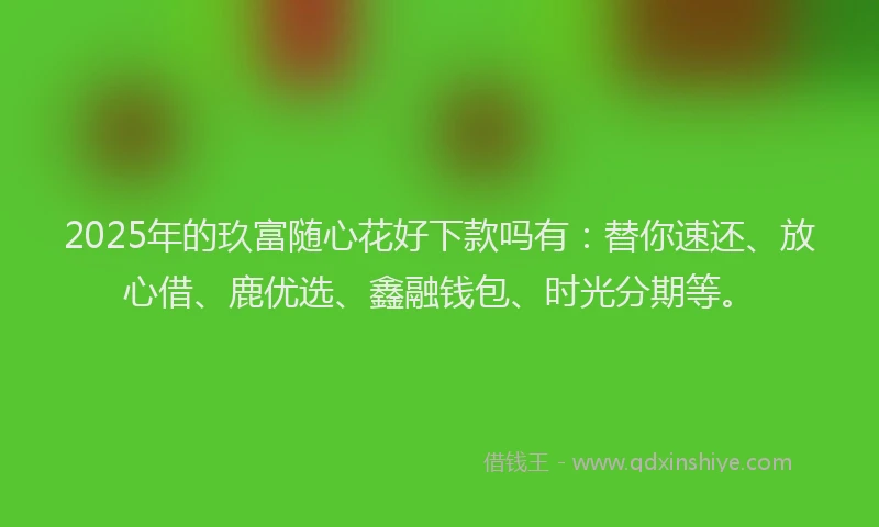 2025年的玖富随心花好下款吗有：替你速还、放心借、鹿优选、鑫融钱包、时光分期等。