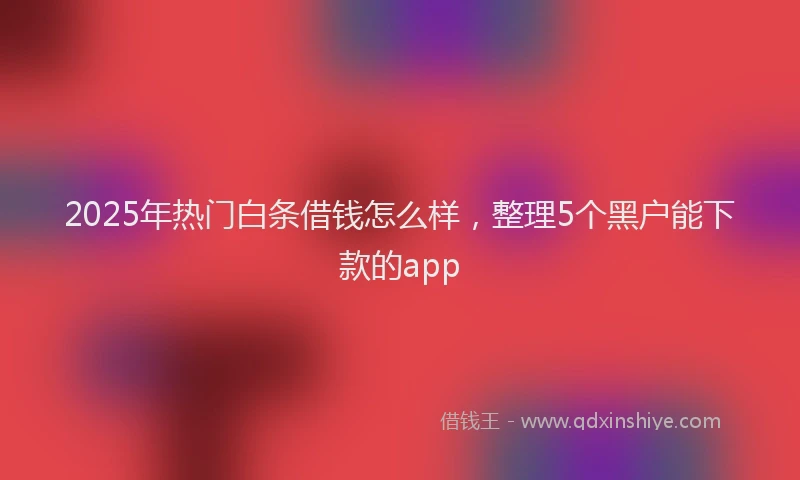 2025年热门白条借钱怎么样,整理5个黑户能下款的app