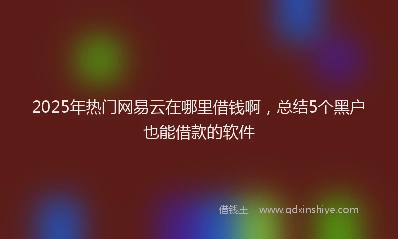 2025年热门网易云在哪里借钱啊，总结5个黑户也能借款的软件
