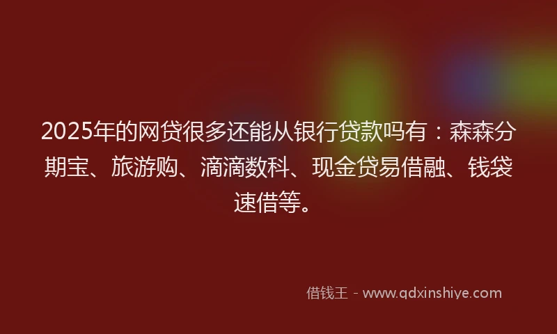 2025年的网贷很多还能从银行贷款吗有:森森分期宝、旅游购、滴滴数科、现金贷易借融、钱袋速借等。