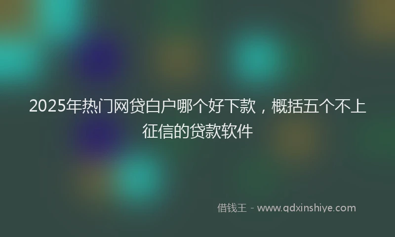 2025年热门网贷白户哪个好下款，概括五个不上征信的贷款软件