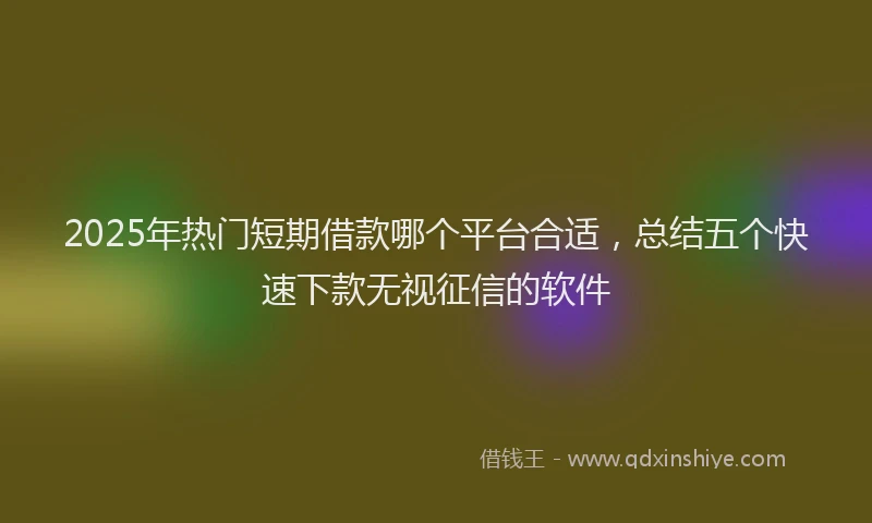 2025年热门短期借款哪个平台合适，总结五个快速下款无视征信的软件