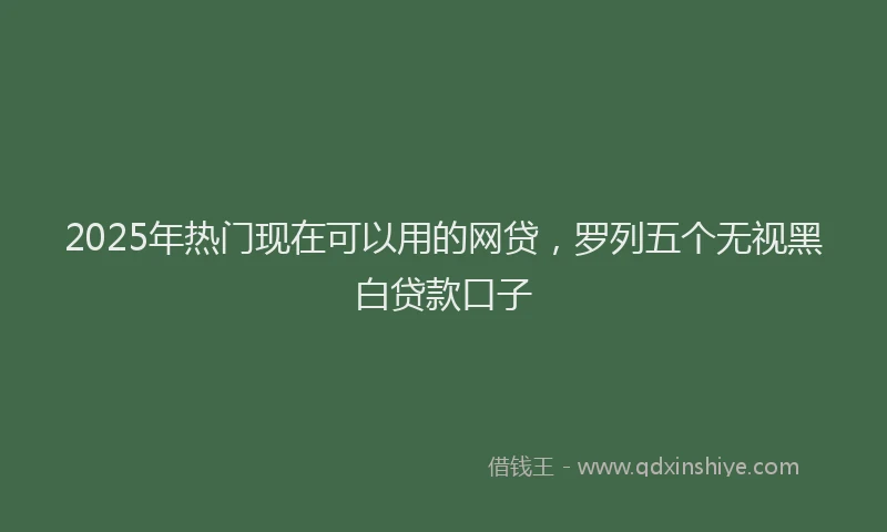 2025年热门现在可以用的网贷，罗列五个无视黑白贷款口子