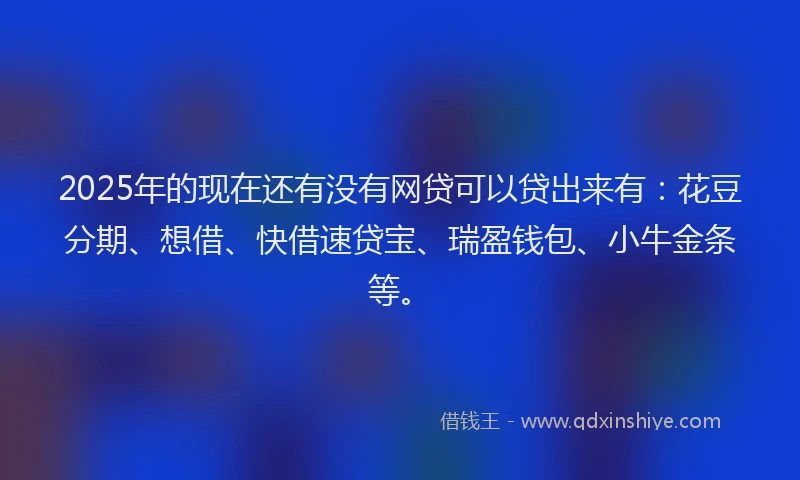 2025年的现在还有没有网贷可以贷出来有：花豆分期、想借、快借速贷宝、瑞盈钱包、小牛金条等。