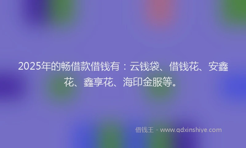 2025年的畅借款借钱有：云钱袋、借钱花、安鑫花、鑫享花、海印金服等。