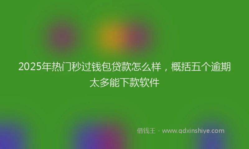 2025年热门秒过钱包贷款怎么样，概括五个逾期太多能下款软件