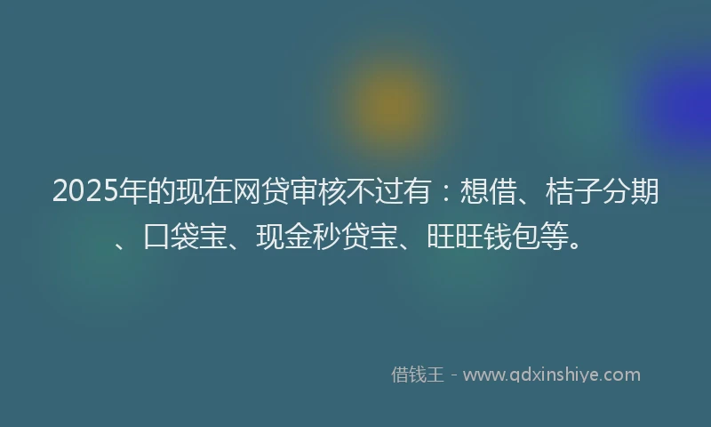 2025年的现在网贷审核不过有：想借、桔子分期、口袋宝、现金秒贷宝、旺旺钱包等。