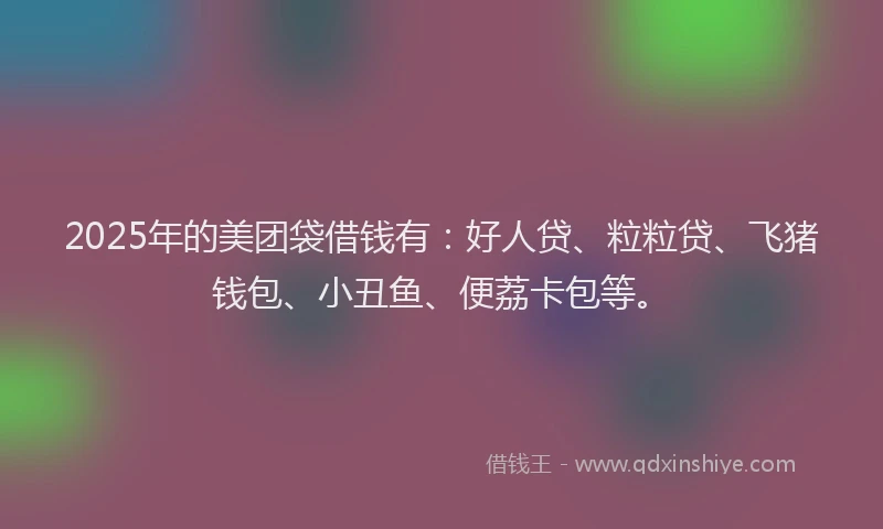 2025年的美团袋借钱有：好人贷、粒粒贷、飞猪钱包、小丑鱼、便荔卡包等。