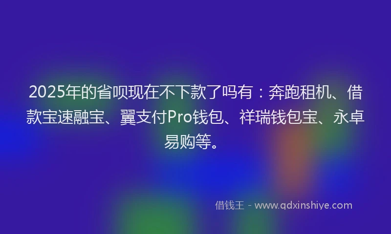 2025年的省呗现在不下款了吗有：奔跑租机、借款宝速融宝、翼支付Pro钱包、祥瑞钱包宝、永卓易购等。