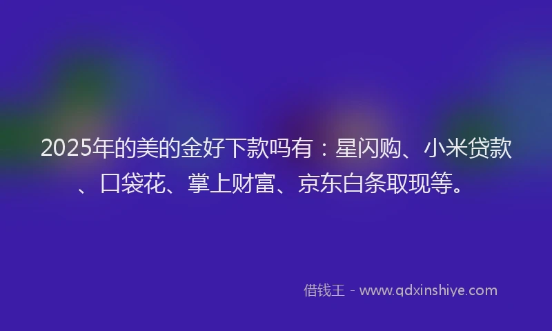 2025年的美的金好下款吗有：星闪购、小米贷款、口袋花、掌上财富、京东白条取现等。