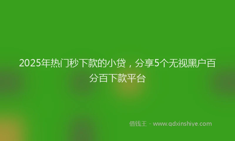 2025年热门秒下款的小贷，分享5个无视黑户百分百下款平台