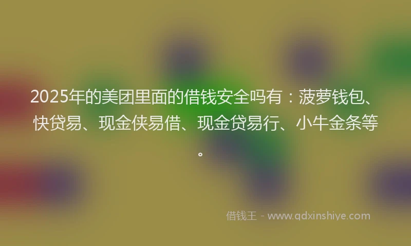 2025年的美团里面的借钱安全吗有：菠萝钱包、快贷易、现金侠易借、现金贷易行、小牛金条等。