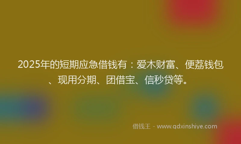 2025年的短期应急借钱有：爱木财富、便荔钱包、现用分期、团借宝、信秒贷等。
