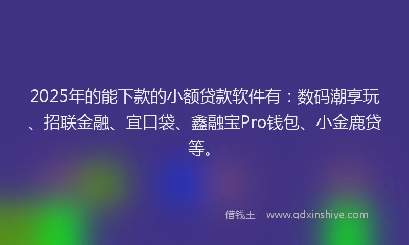 2025年的能下款的小额贷款软件有：数码潮享玩、招联金融、宜口袋、鑫融宝Pro钱包、小金鹿贷等。
