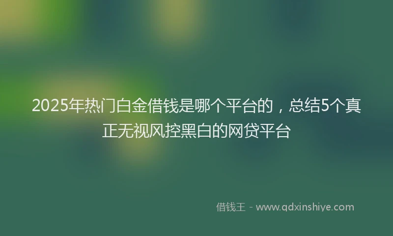 2025年热门白金借钱是哪个平台的，总结5个真正无视风控黑白的网贷平台